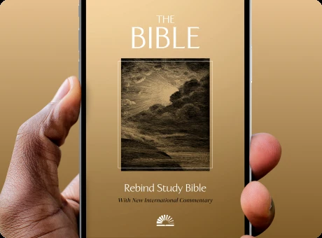 Bible book covers
